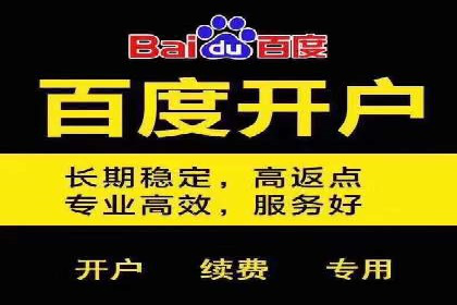 托管竞价sem案例分享：某电商平台的成功之路